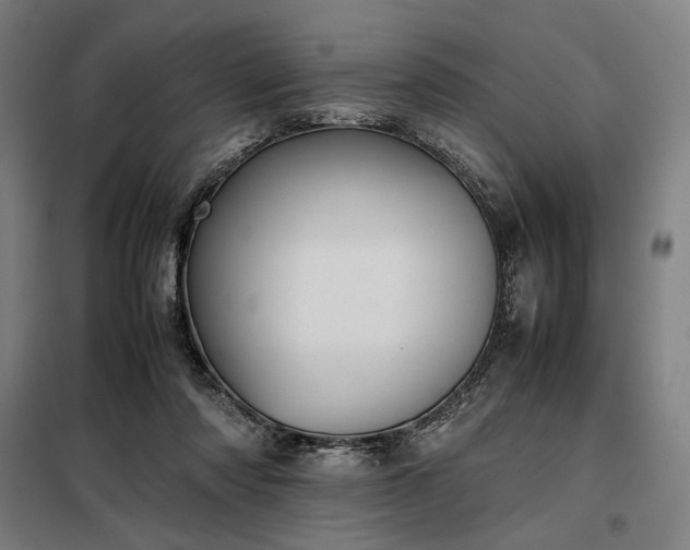 X0000098000310200804021037