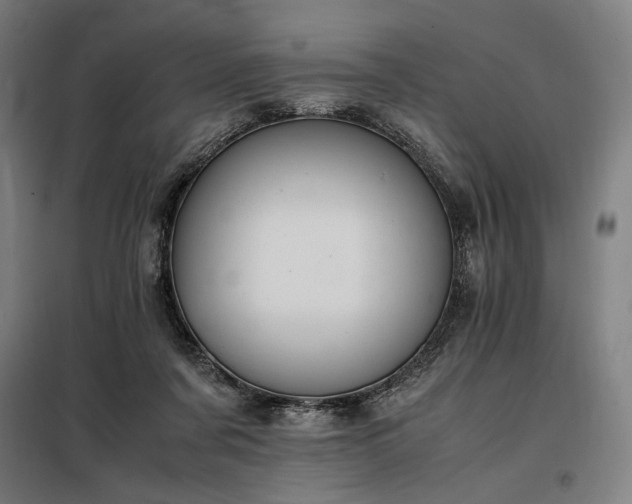 X0000098000311200804021037