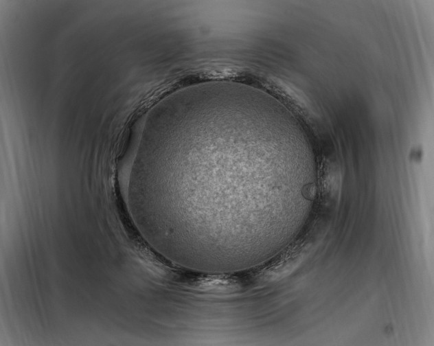 X0000098000315200804021037