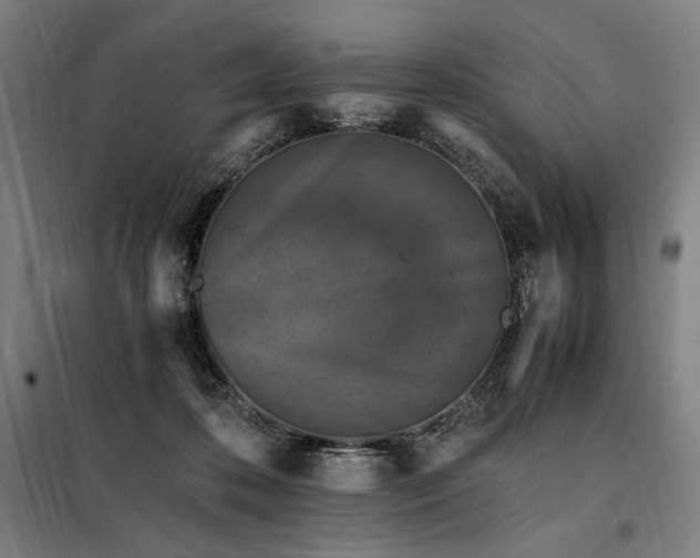 X0000098000316200804021037