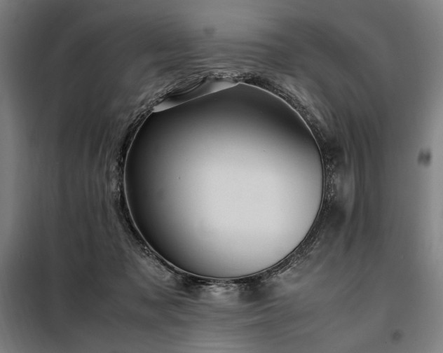 X0000098000317200804021037