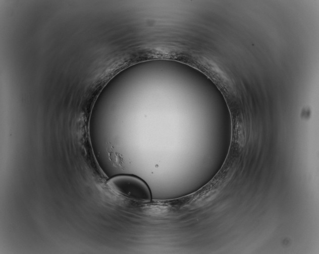 X0000098000318200804021037