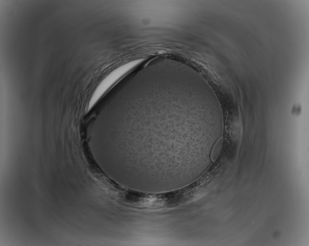 X0000098000319200804021037