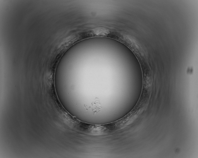 X0000098000321200804021037