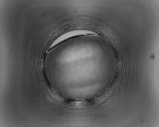 X0000098000323200804021037