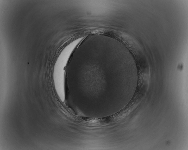 X0000098000325200804021037