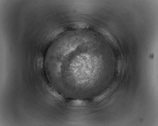 X0000098000326200804021037