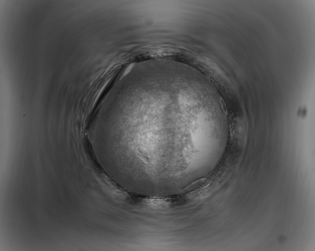 X0000098000327200804021037