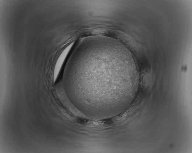 X0000098000329200804021037