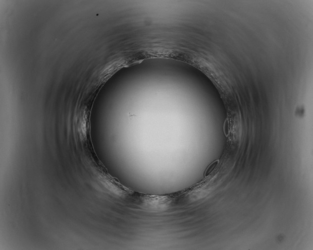 X0000098000334200804021037