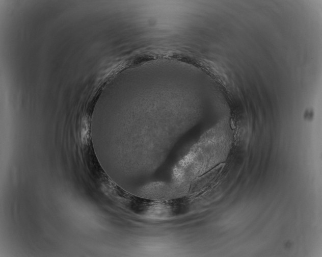 X0000098000335200804021037