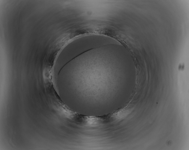 X0000098000336200804021037