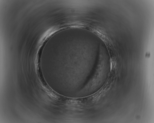 X0000098000339200804021036