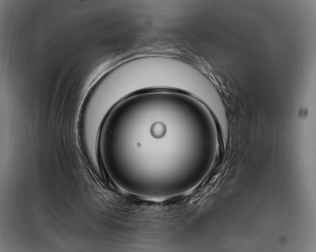 X0000098000340200804021036