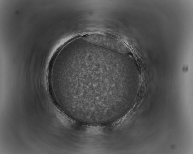X0000098000342200804021036