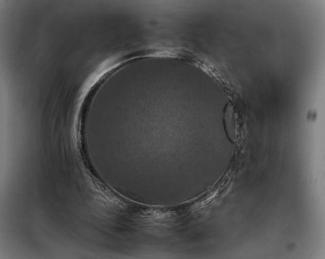 X0000098000343200804021036