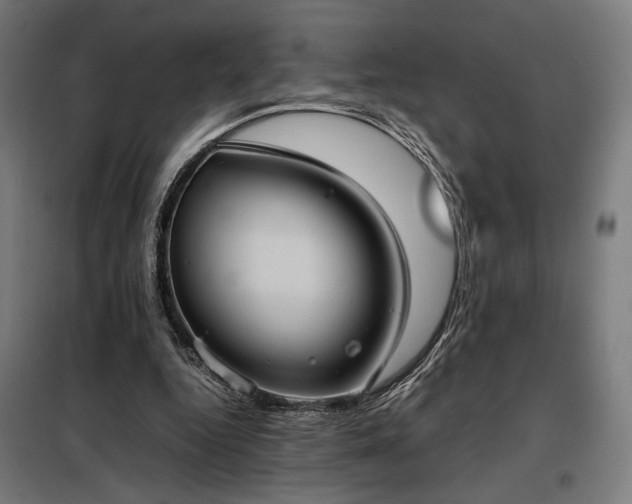 X0000098000344200804021036