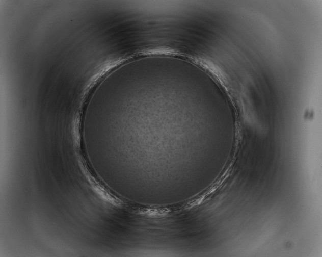 X0000098000345200804021036
