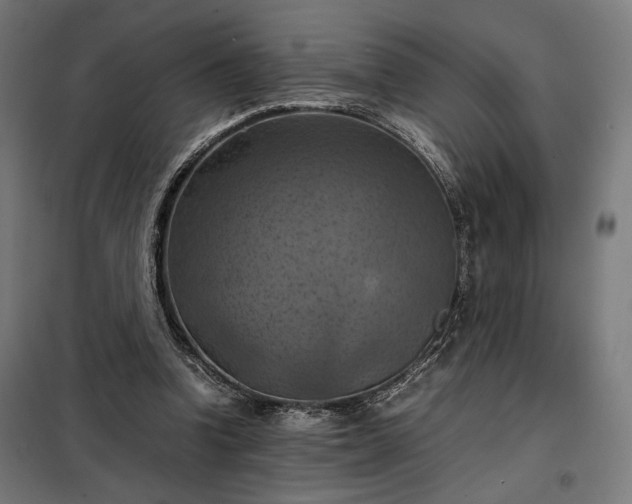 X0000098000346200804021036