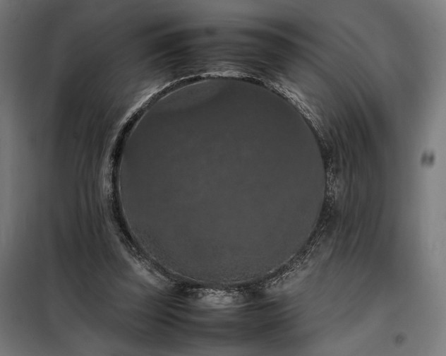 X0000098000347200804021036
