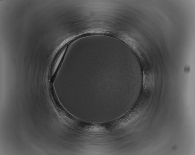 X0000098000348200804021036