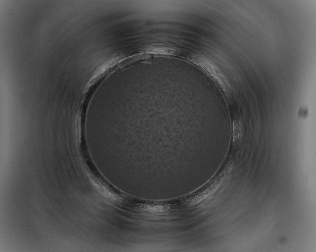 X0000098000349200804021036