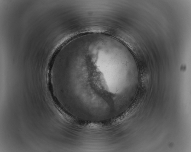 X0000098000350200804021036