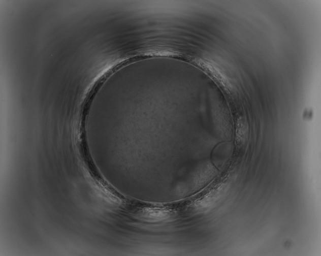 X0000098000351200804021036