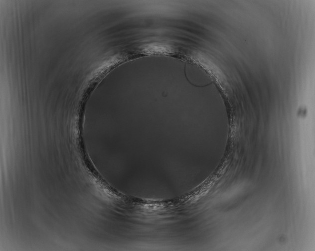X0000098000353200804021036