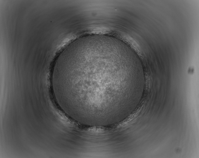 X0000098000354200804021036