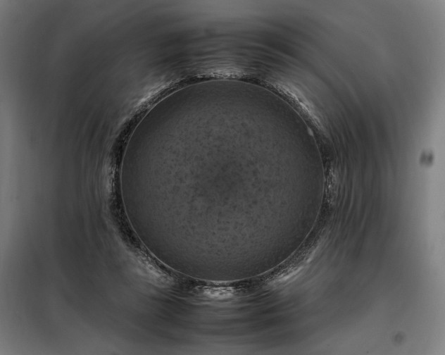 X0000098000355200804021036