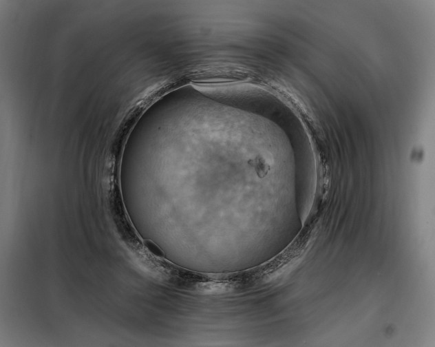 X0000098000356200804021036