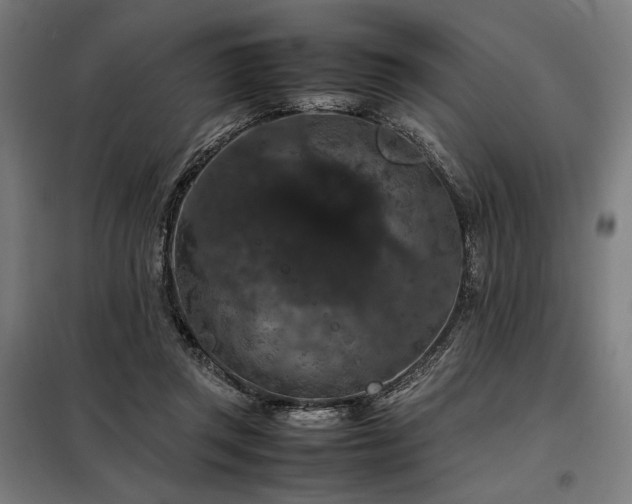 X0000098000357200804021036