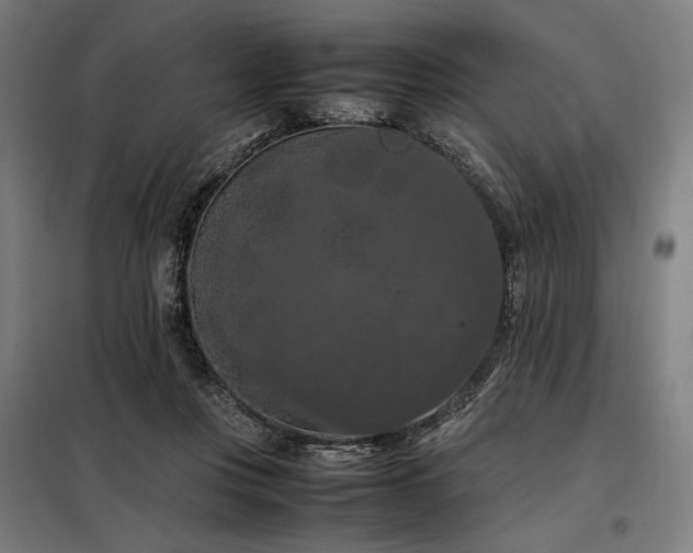 X0000098000359200804021036