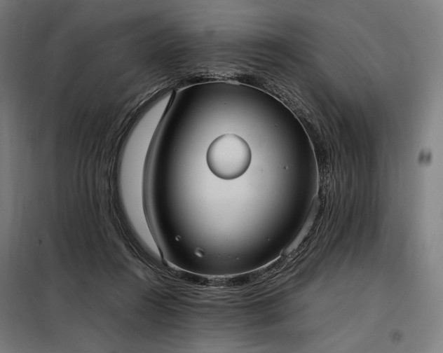 X0000098000360200804021036
