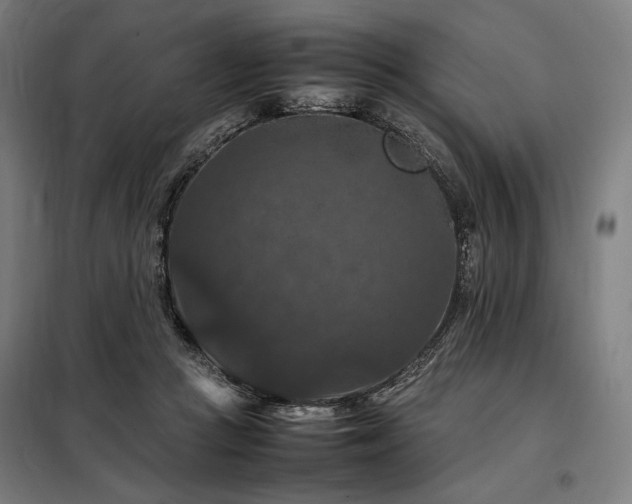 X0000098000361200804021036