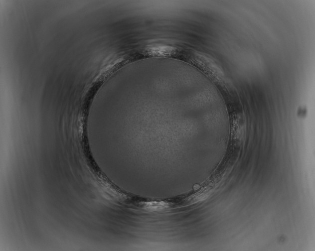 X0000098000363200804021037