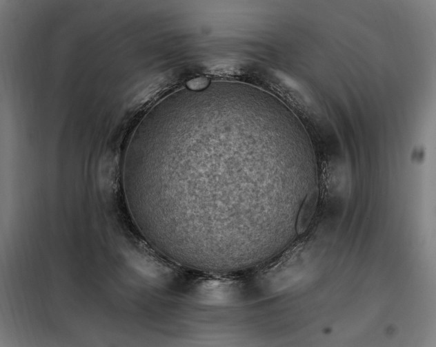 X0000098000364200804021037