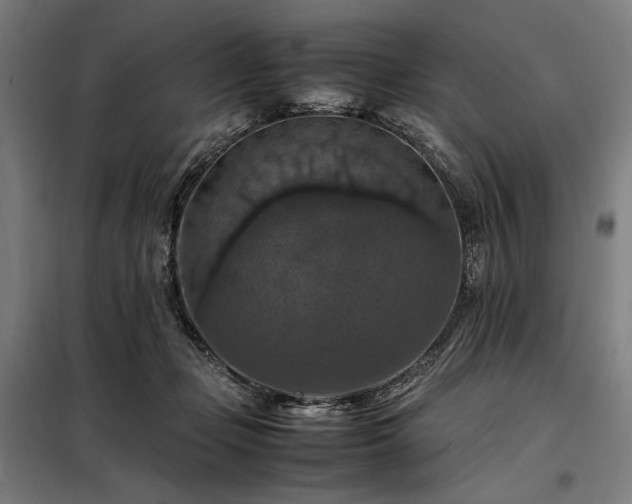 X0000098000365200804021037