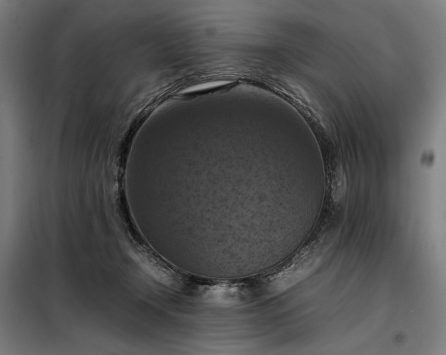 X0000098000366200804021037