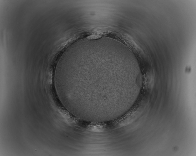 X0000098000368200804021037
