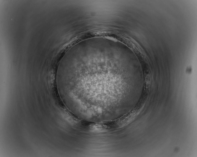 X0000098000372200804021037