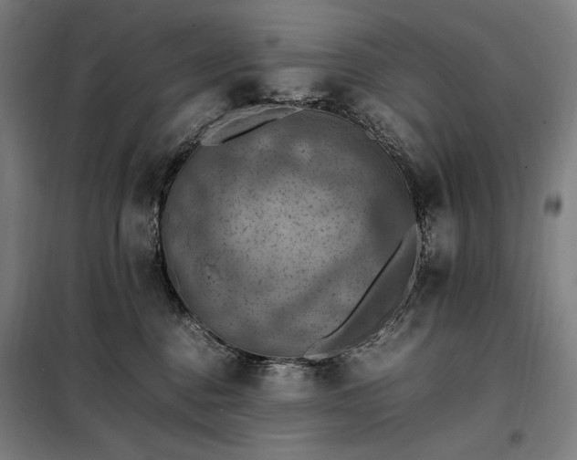 X0000098000376200804021037