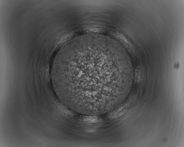 X0000098000377200804021037