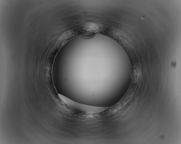X0000098000379200804021037