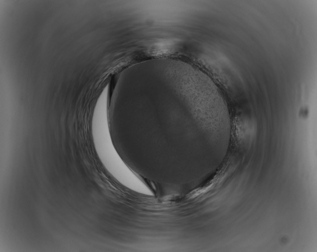 X0000098000380200804021037