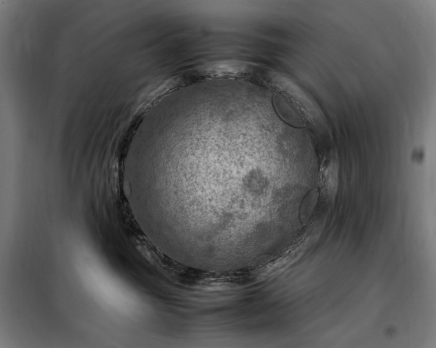X0000098000381200804021037