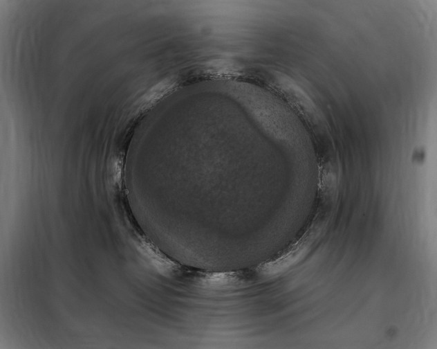 X0000098000382200804021037