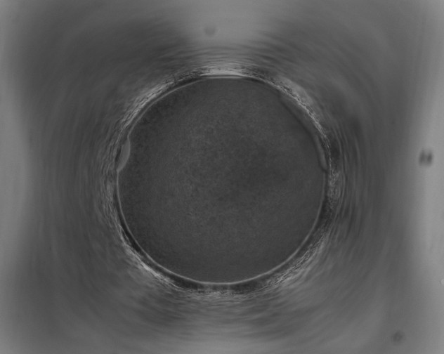 X0000098000385200804021036