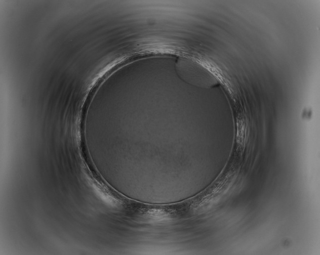X0000098000390200804021036